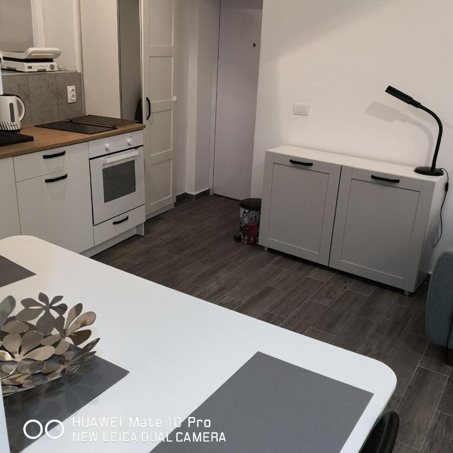 Bibi'S Apartment Belgrad Dış mekan fotoğraf